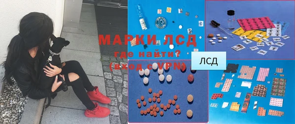 spice Алзамай