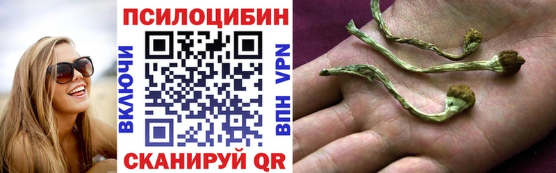 Псилоцибиновые грибы Psilocybe  что такое наркотик  Новомосковск 